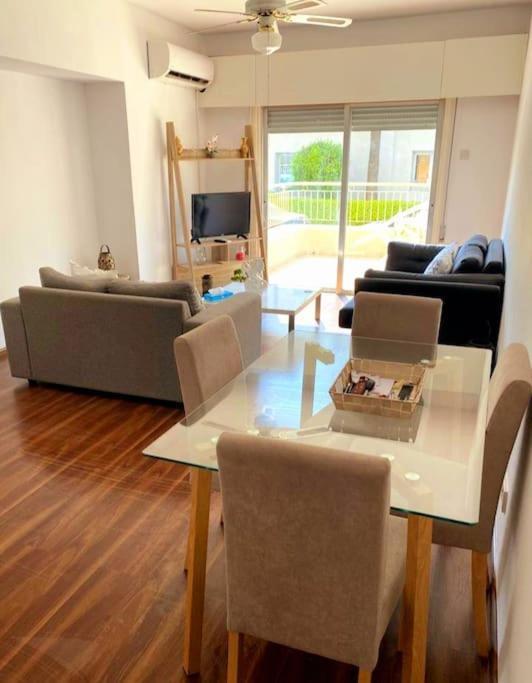 Large Modern Flat